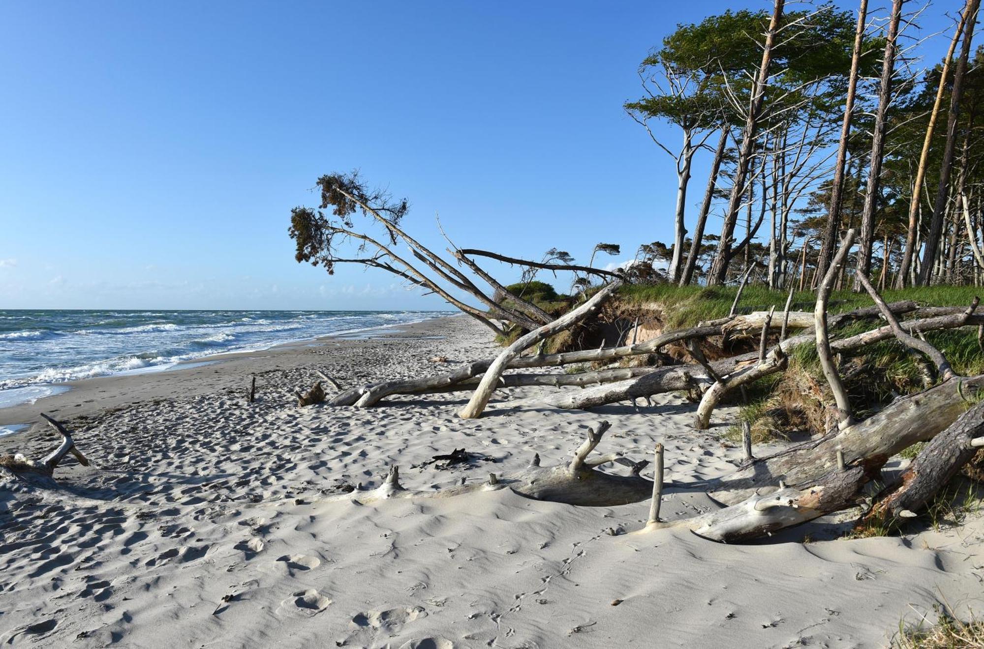 Strand Zingst Εξωτερικό φωτογραφία