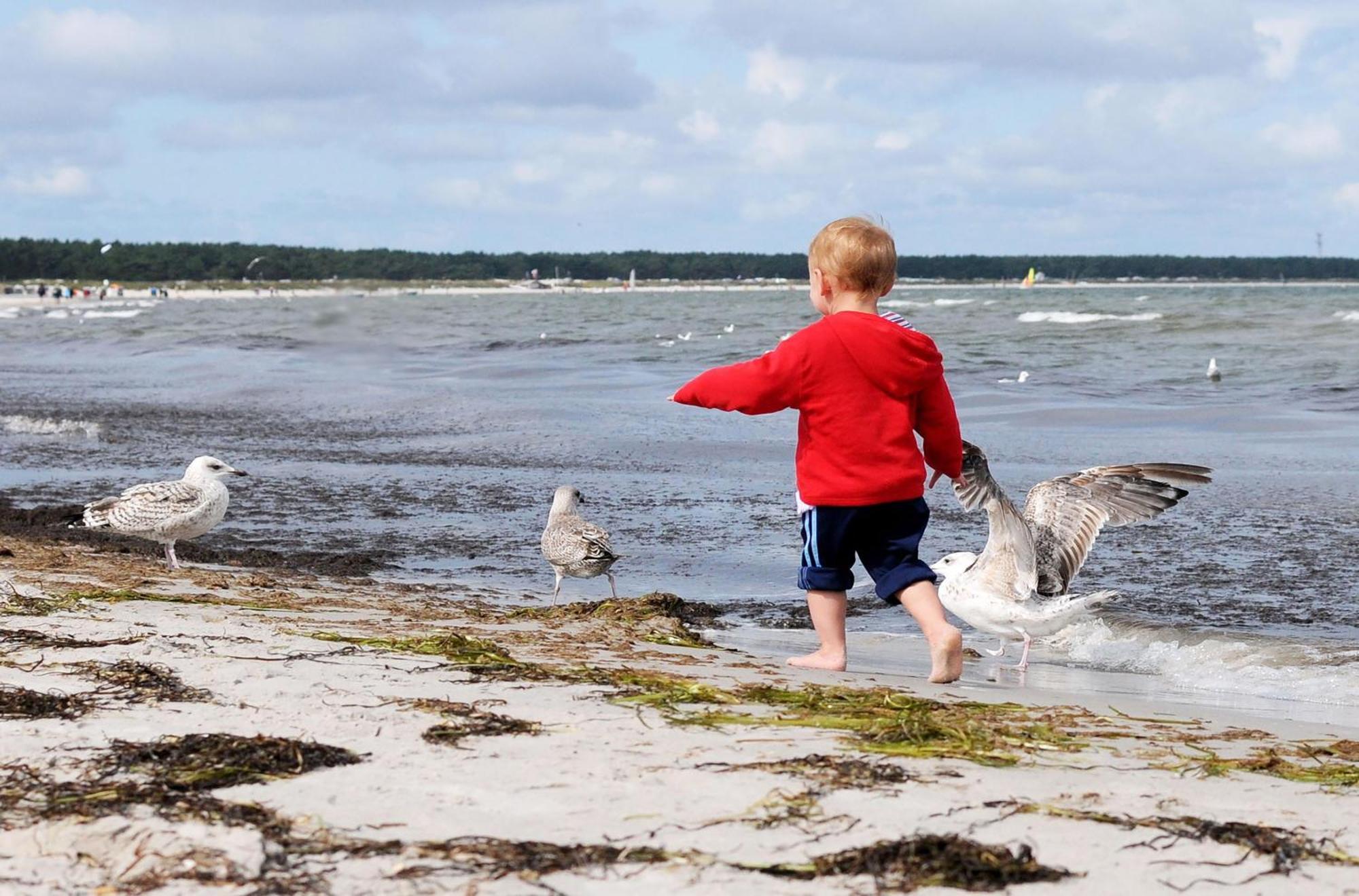 Strand Zingst Εξωτερικό φωτογραφία